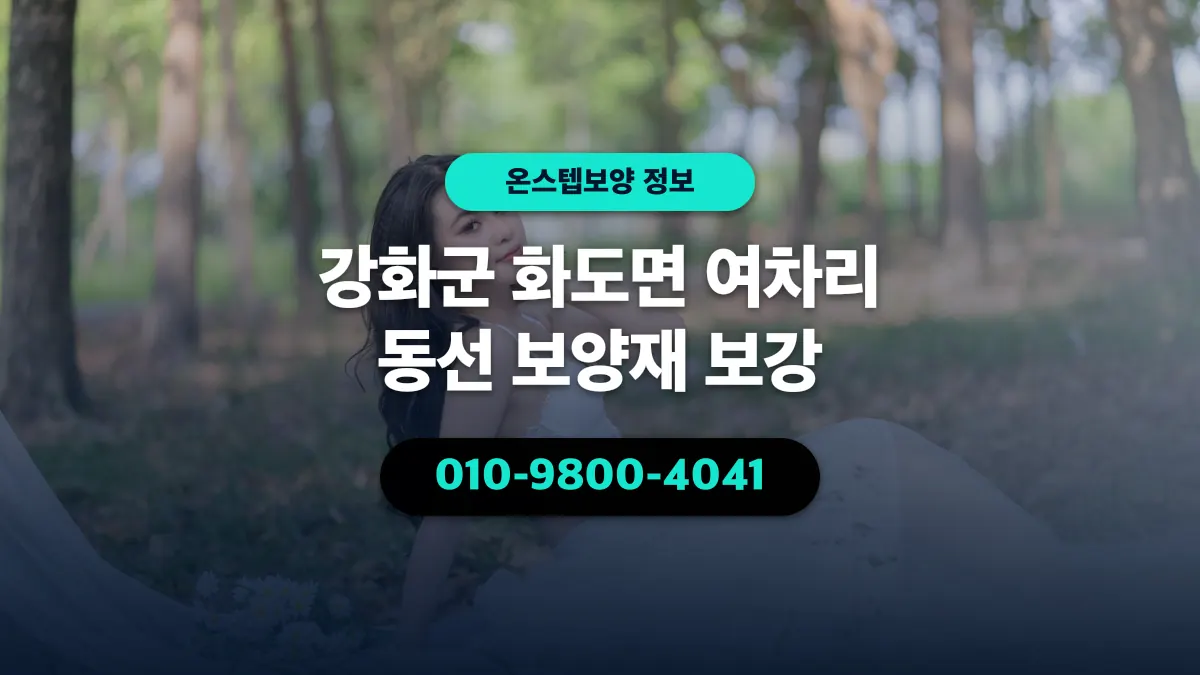 강화군 화도면 여차리 동선 보양재 보강 - 온스텝보양