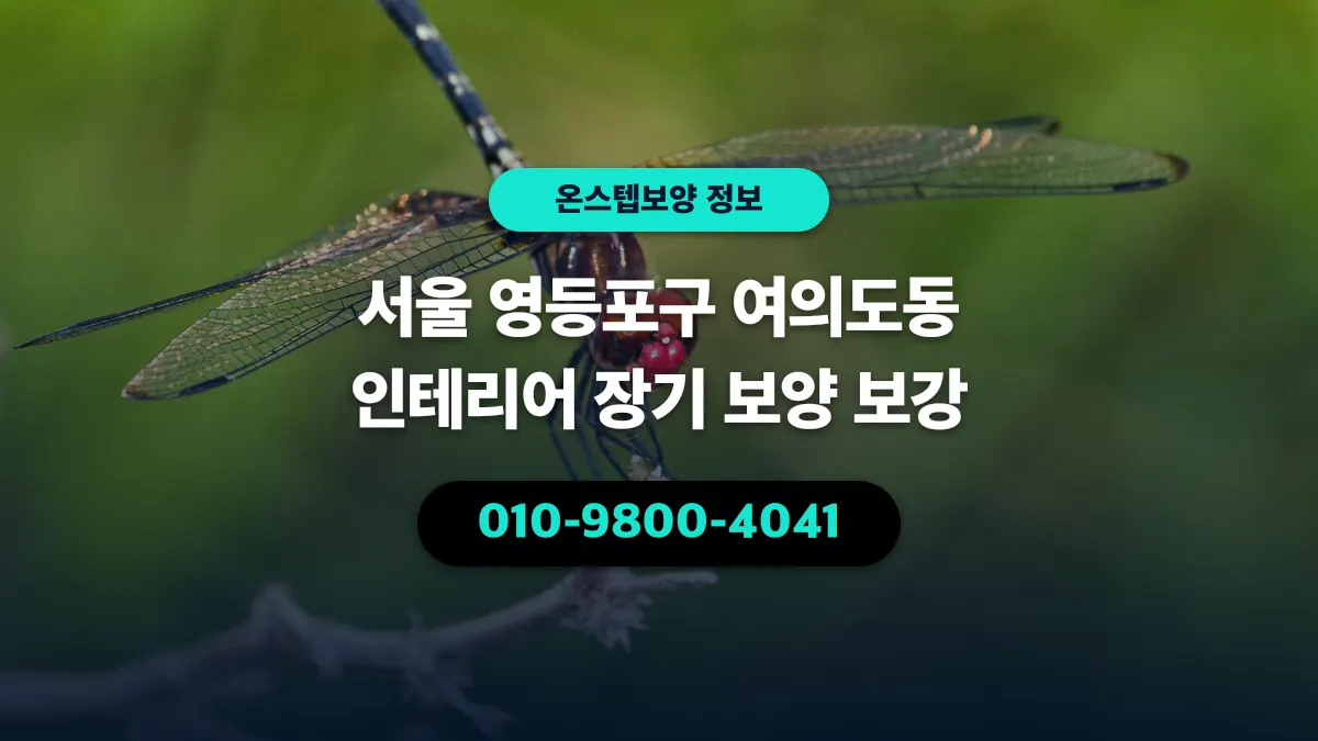 서울 영등포구 여의도동 인테리어 장기 보양 보강 - 온스텝보양