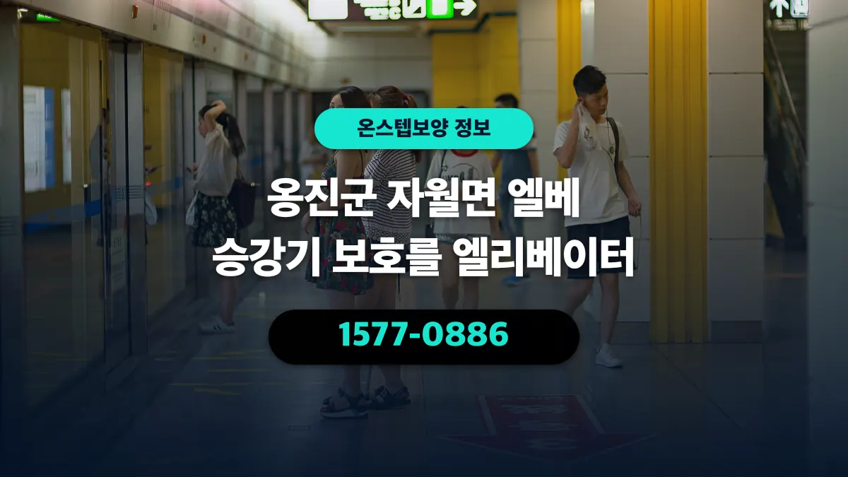 옹진군 자월면 엘베 승강기 보호를 엘리베이터 - 온스텝보양