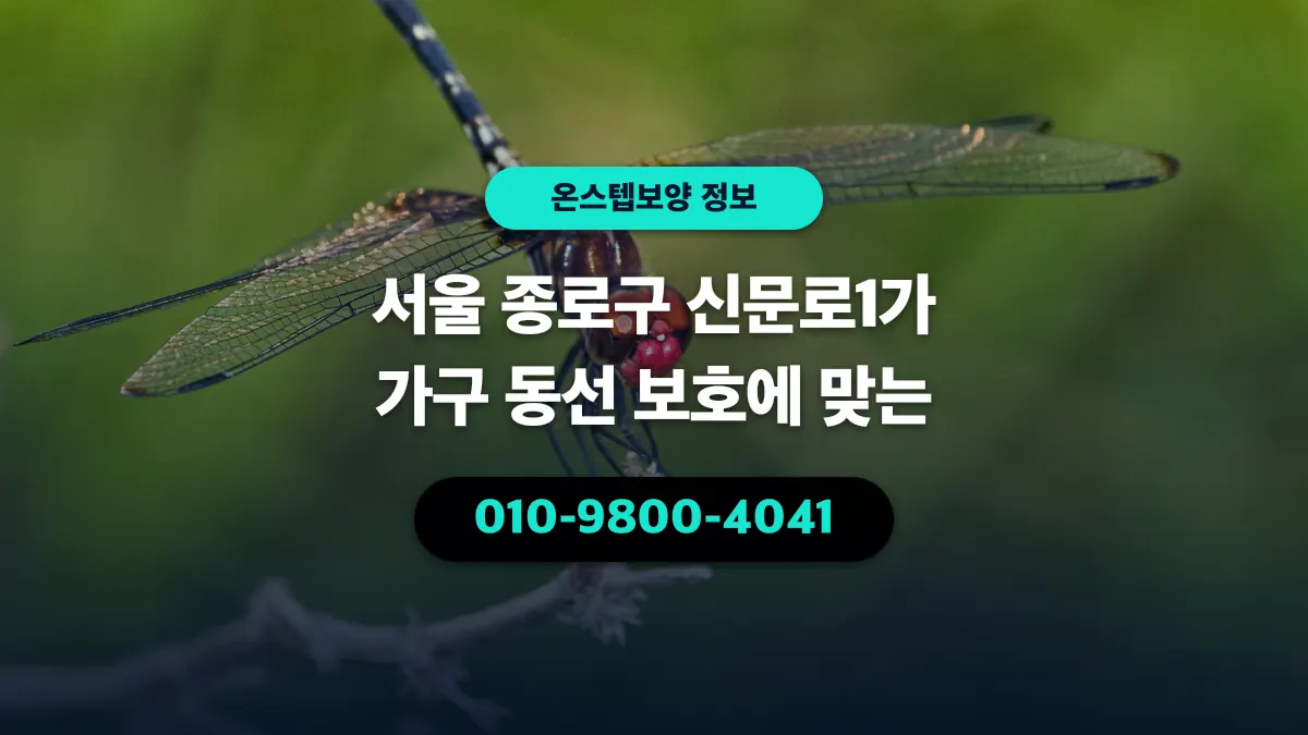 서울 종로구 신문로1가 가구 동선 보호에 맞는 - 온스텝보양