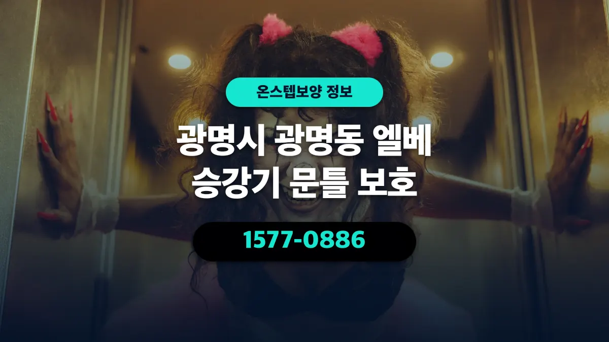 광명시 광명동 엘베 승강기 문틀 보호 - 온스텝보양