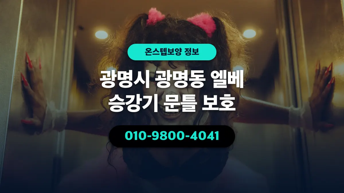 광명시 광명동 엘베 승강기 문틀 보호 - 온스텝보양