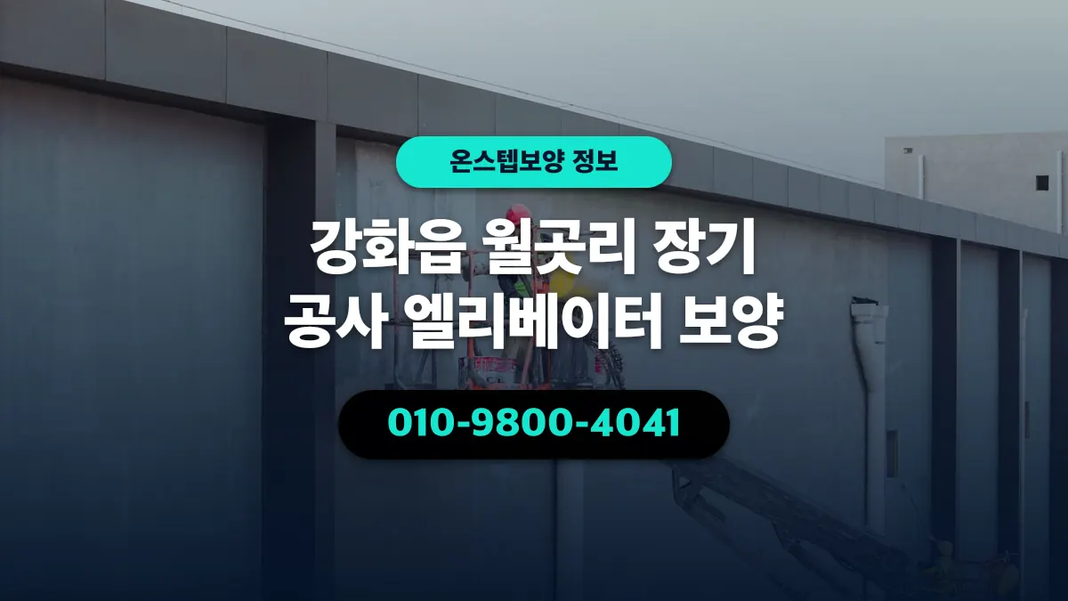강화읍 월곳리 장기 공사 엘리베이터 보양 - 온스텝보양