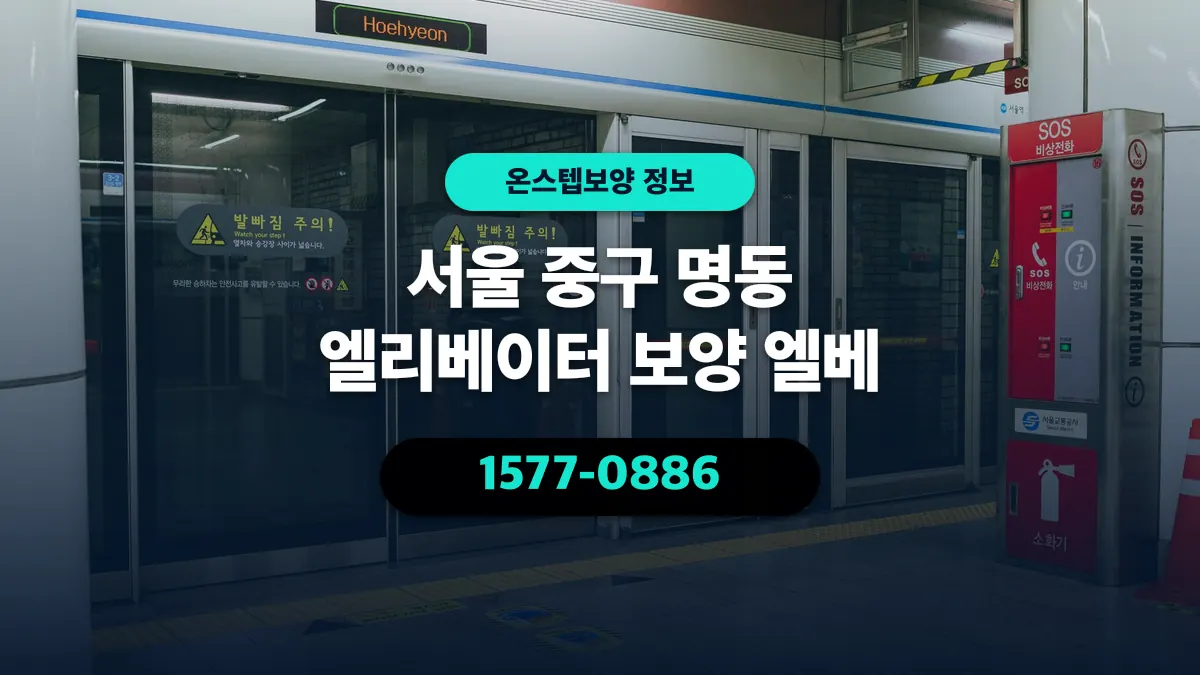 서울 중구 명동 엘리베이터 보양 엘베 - 온스텝보양