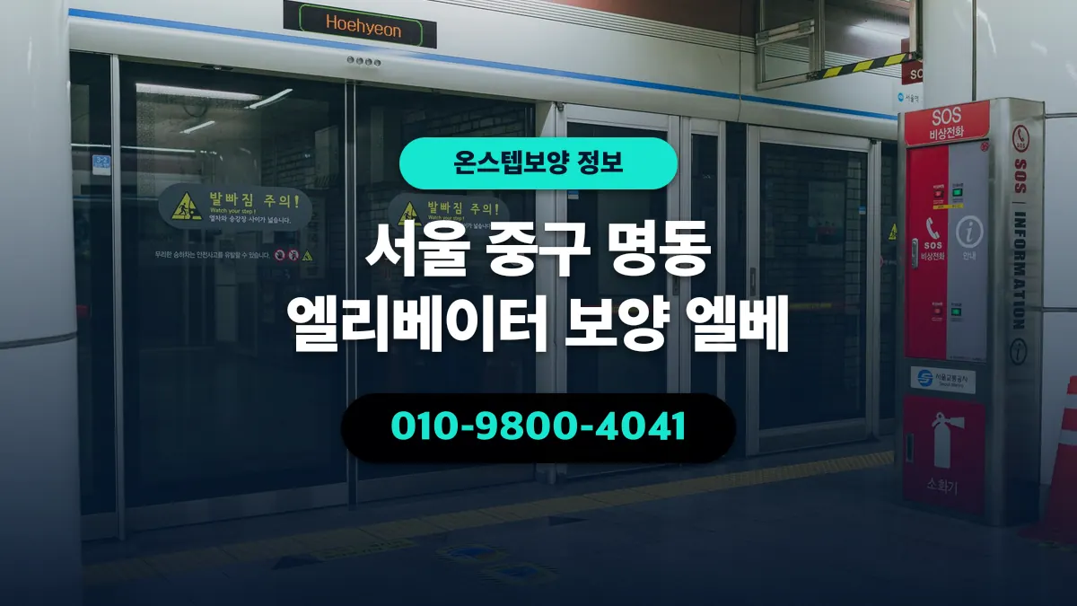 서울 중구 명동 엘리베이터 보양 엘베 - 온스텝보양
