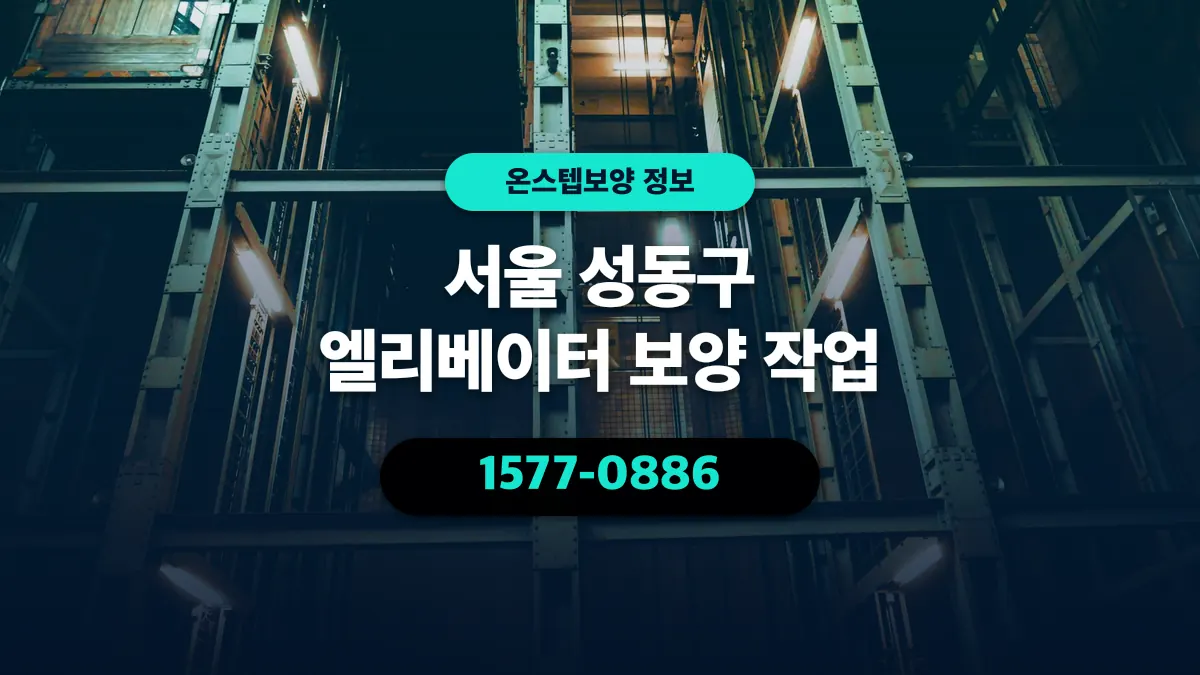 서울 성동구 엘리베이터 보양 작업 - 온스텝보양