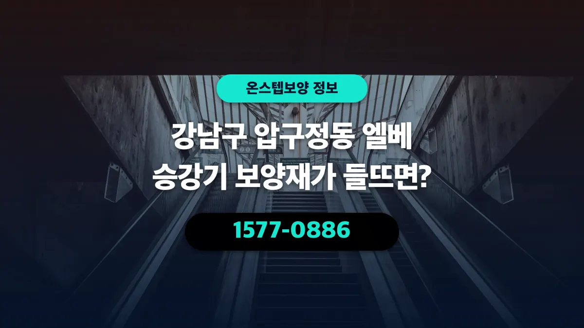 강남구 압구정동 엘베 승강기 보양재가 들뜨면? - 온스텝보양