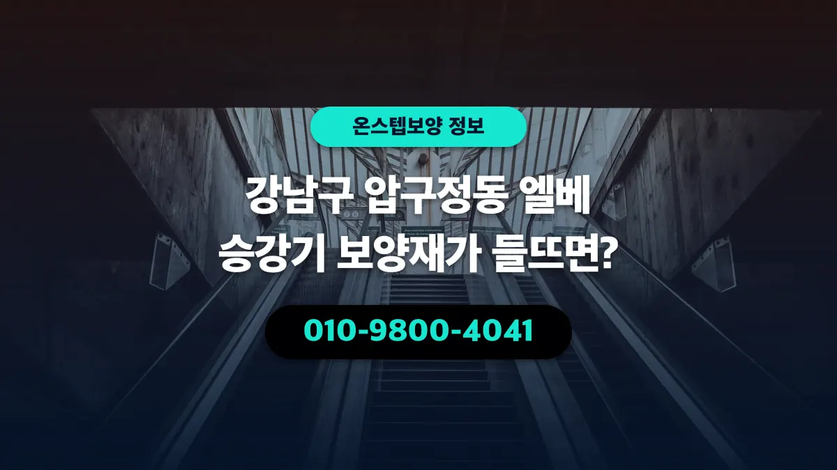 강남구 압구정동 엘베 승강기 보양재가 들뜨면? - 온스텝보양