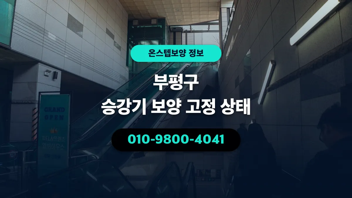 부평구 승강기 보양 고정 상태 - 온스텝보양