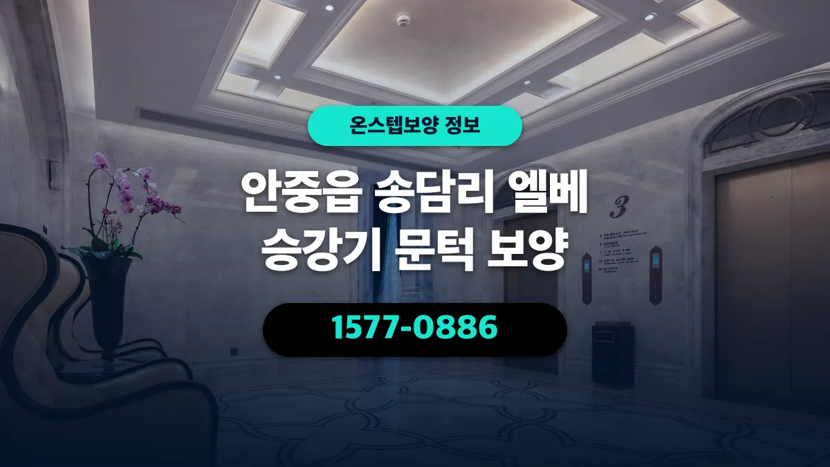 안중읍 송담리 엘베 승강기 문턱 보양 - 온스텝보양