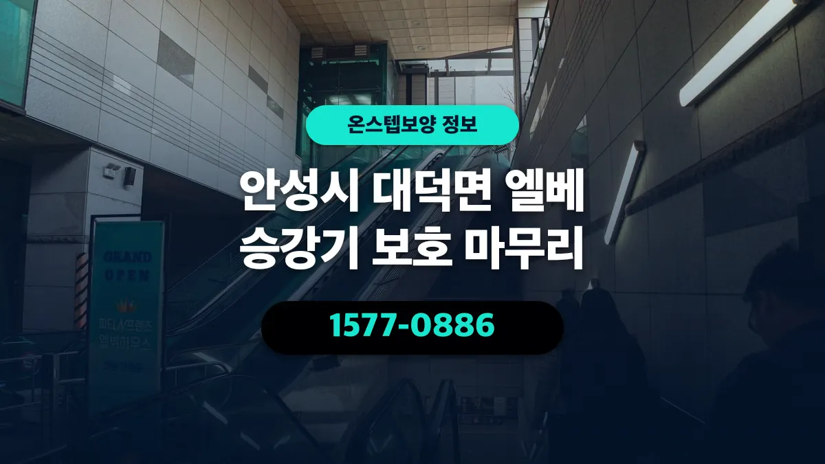 안성시 대덕면 엘베 승강기 보호 마무리 - 온스텝보양
