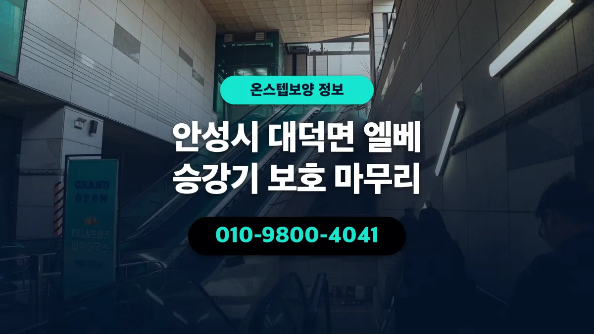 안성시 대덕면 엘베 승강기 보호 마무리 - 온스텝보양
