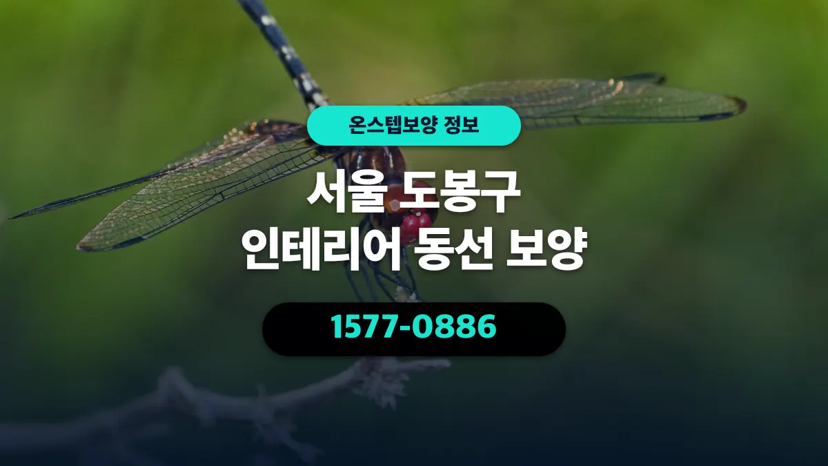 서울 도봉구 인테리어 동선 보양 - 온스텝보양