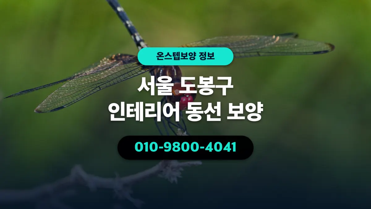 서울 도봉구 인테리어 동선 보양 - 온스텝보양