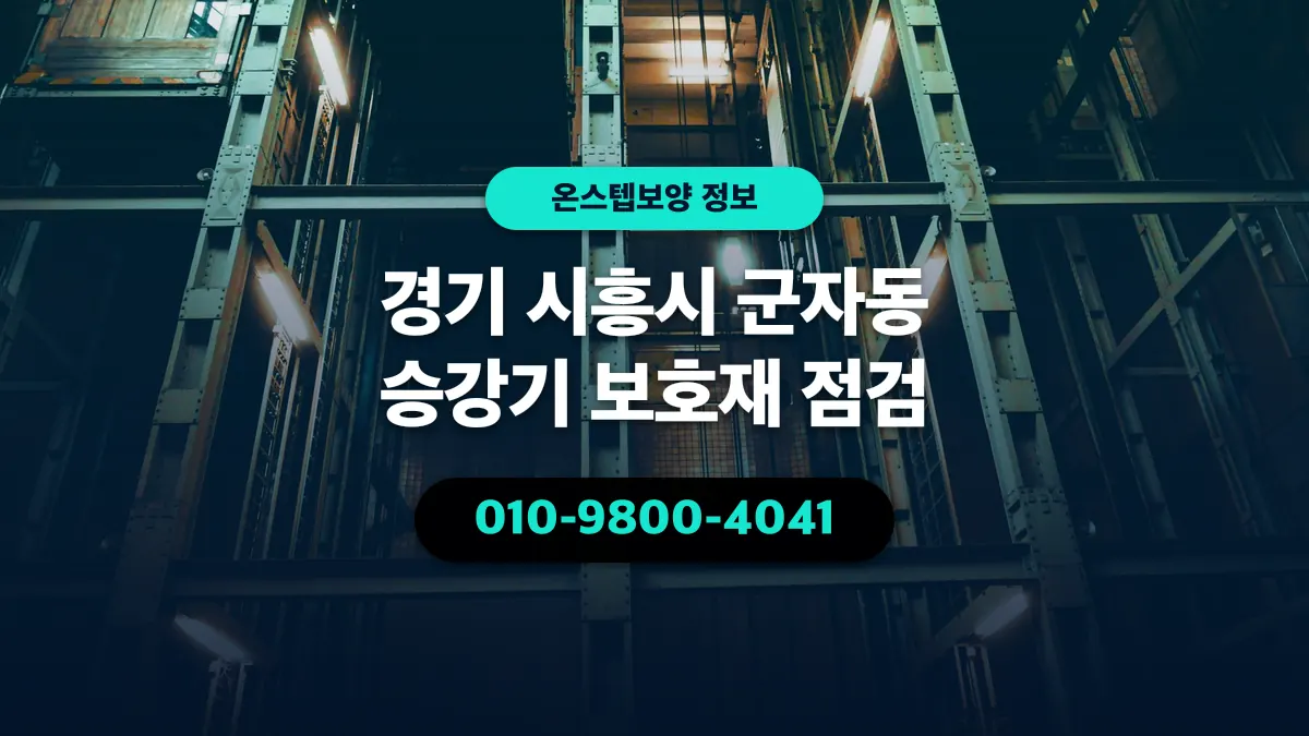 경기 시흥시 군자동 승강기 보호재 점검 - 온스텝보양