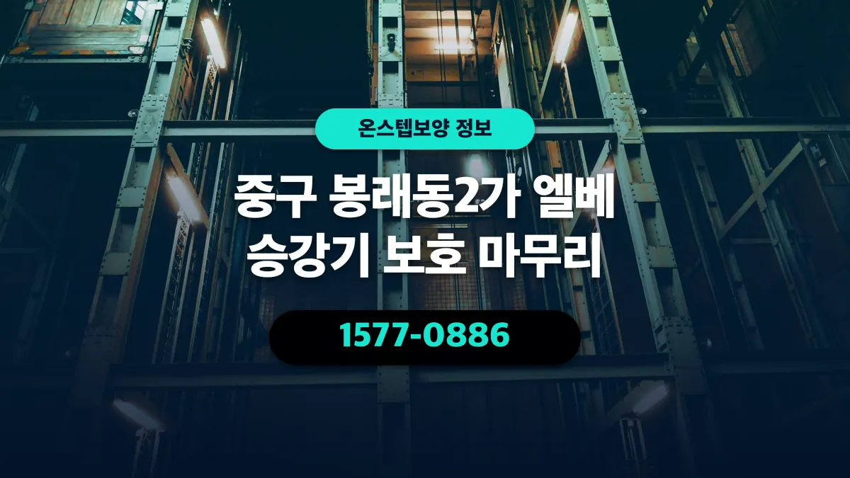 중구 봉래동2가 엘베 승강기 보호 마무리 - 온스텝보양