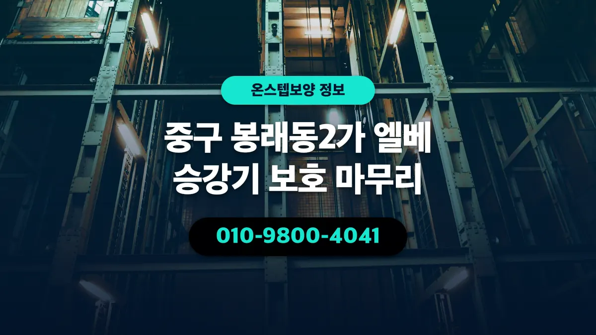 중구 봉래동2가 엘베 승강기 보호 마무리 - 온스텝보양