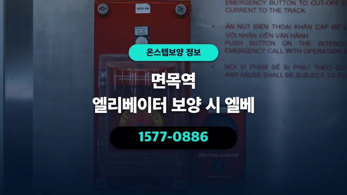 면목역 엘리베이터 보양 시 엘베 - 온스텝보양