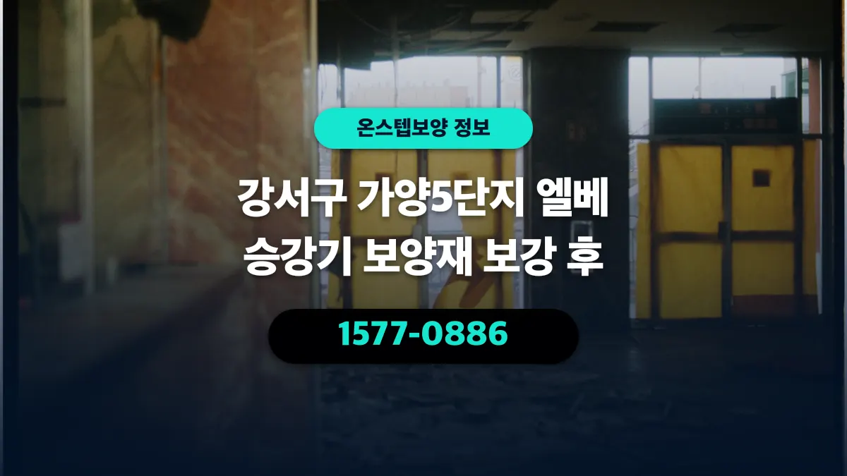 강서구 가양5단지 엘베 승강기 보양재 보강 후 - 온스텝보양
