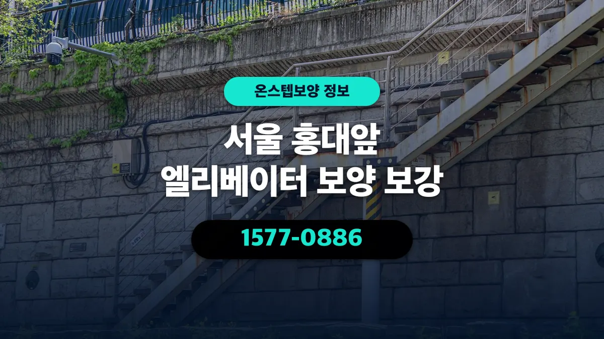 서울 홍대앞 엘리베이터 보양 보강 - 온스텝보양