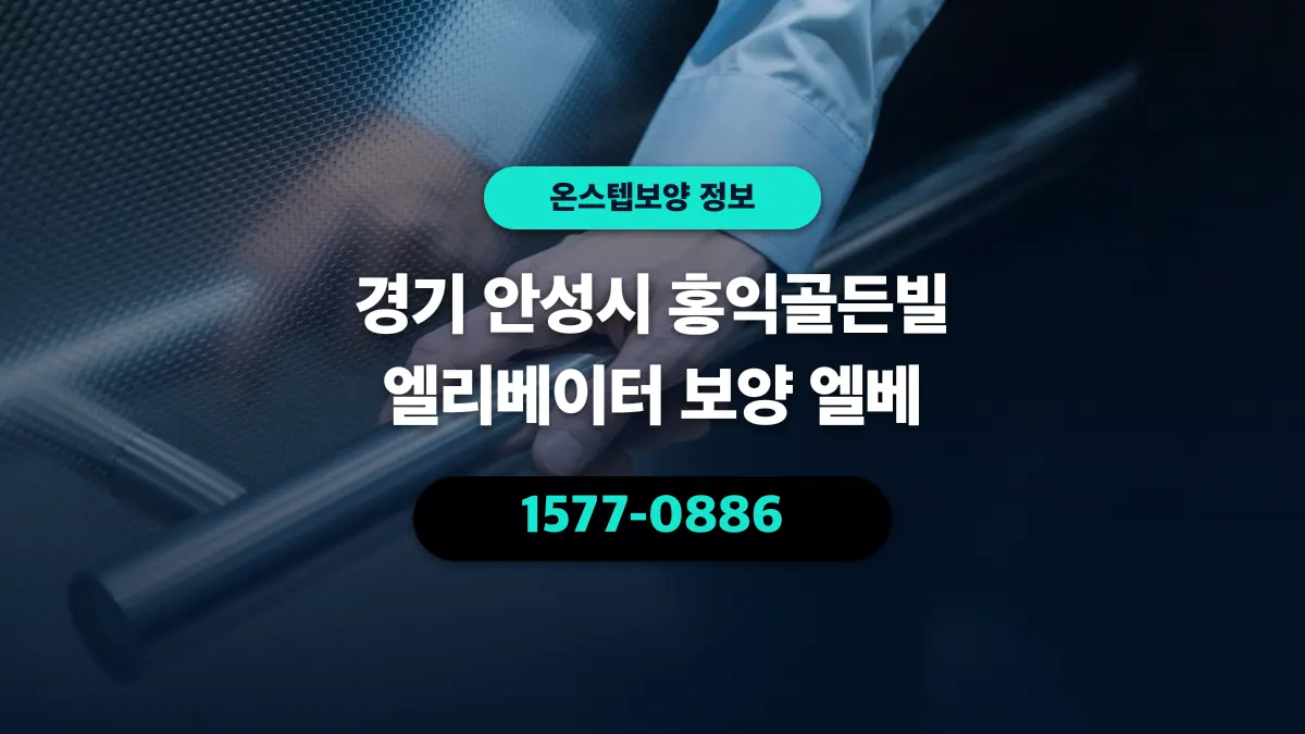 경기 안성시 홍익골든빌 엘리베이터 보양 엘베 - 온스텝보양