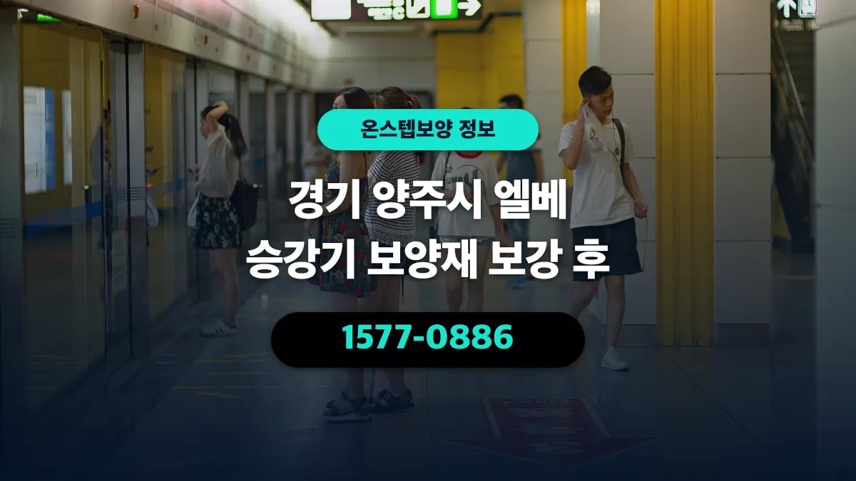 경기 양주시 엘베 승강기 보양재 보강 후 - 온스텝보양