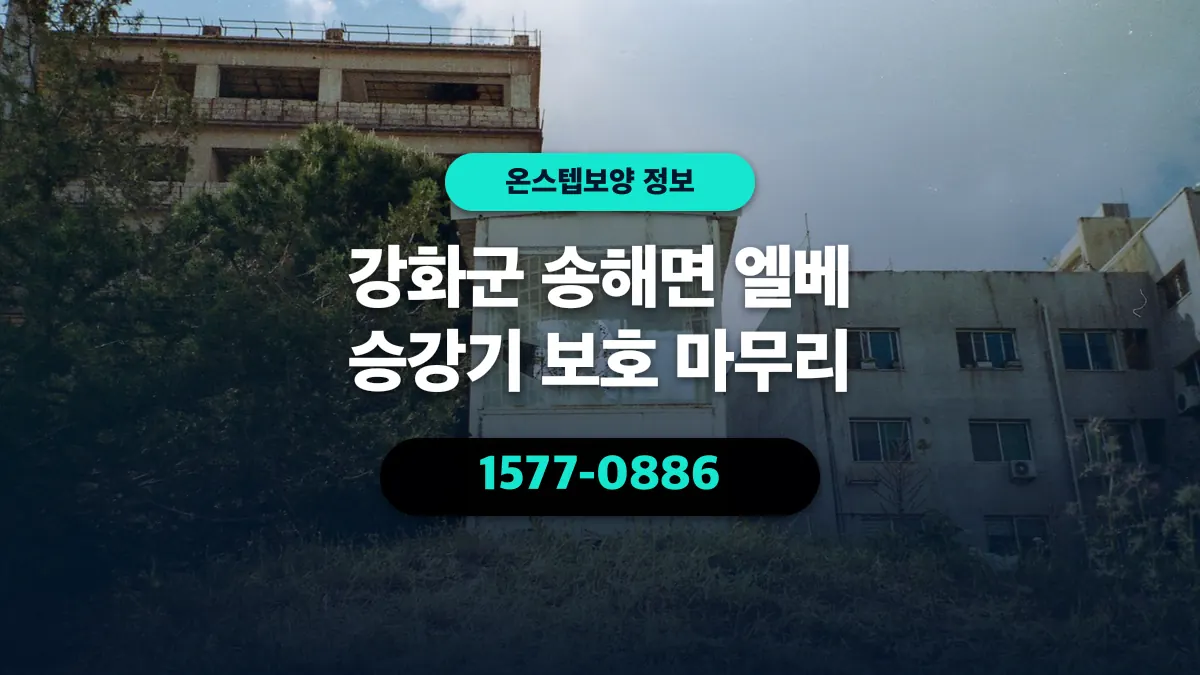 강화군 송해면 엘베 승강기 보호 마무리 - 온스텝보양