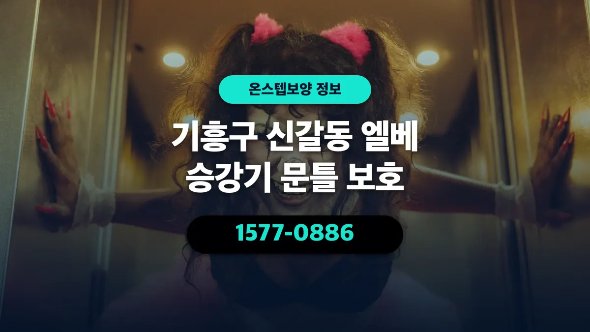 기흥구 신갈동 엘베 승강기 문틀 보호 - 온스텝보양