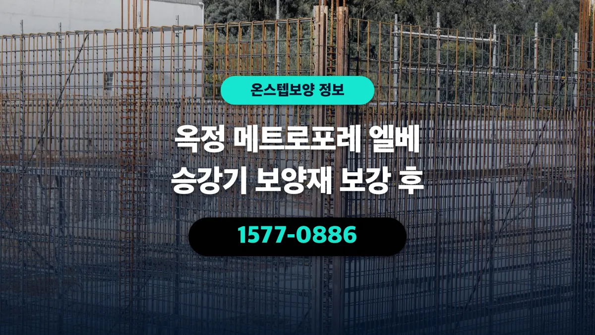 옥정 메트로포레 엘베 승강기 보양재 보강 후 - 온스텝보양