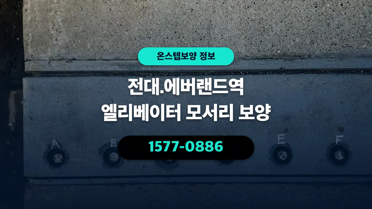 전대.에버랜드역 엘리베이터 모서리 보양 - 온스텝보양