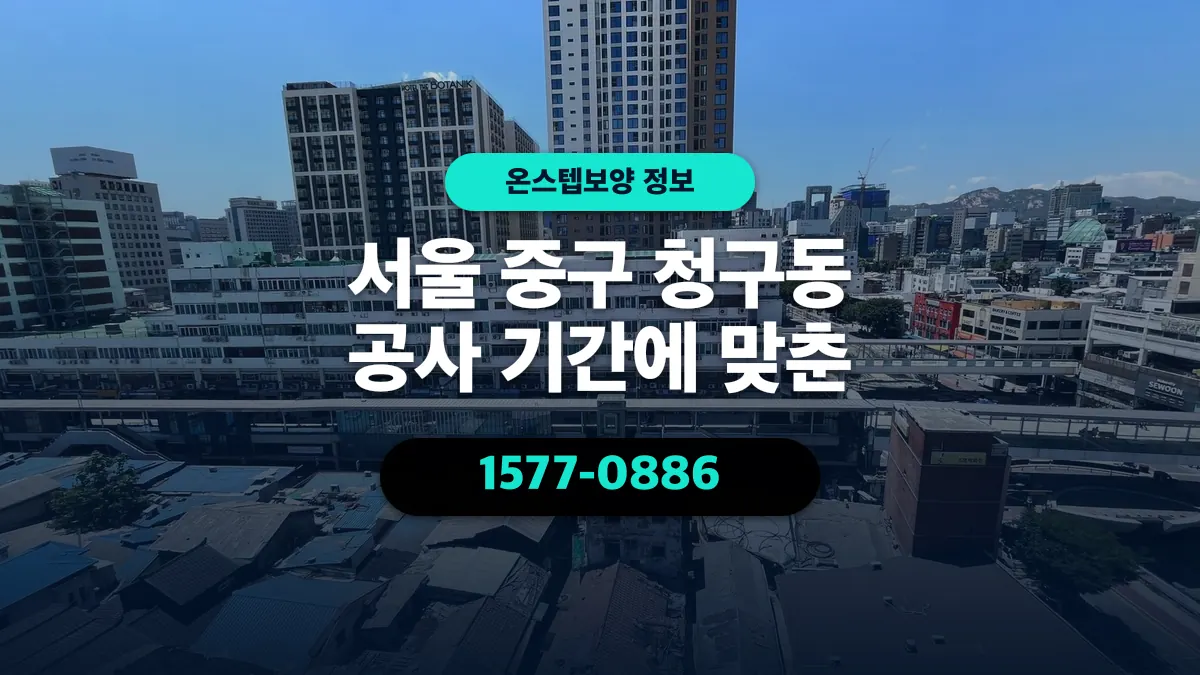 서울 중구 청구동 공사 기간에 맞춘 - 온스텝보양