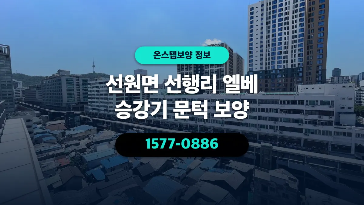 선원면 선행리 엘베 승강기 문턱 보양 - 온스텝보양