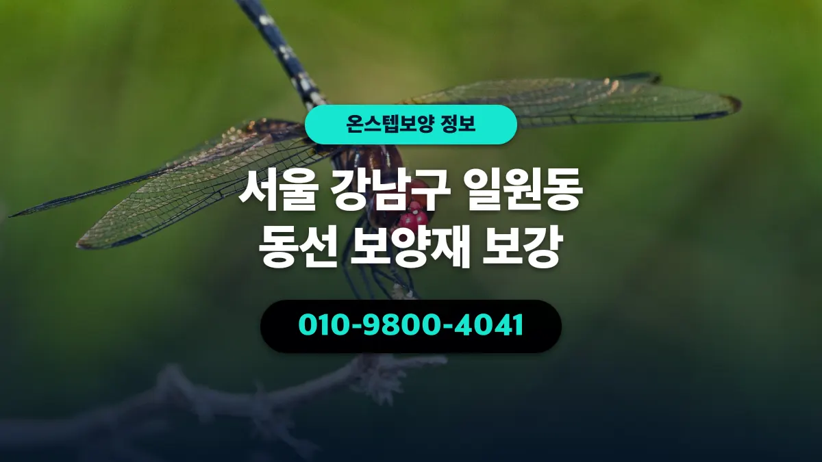 서울 강남구 일원동 동선 보양재 보강 - 온스텝보양