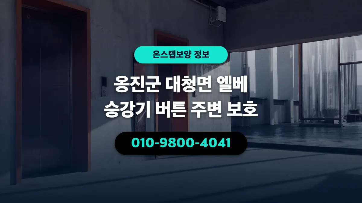 옹진군 대청면 엘베 승강기 버튼 주변 보호 - 온스텝보양