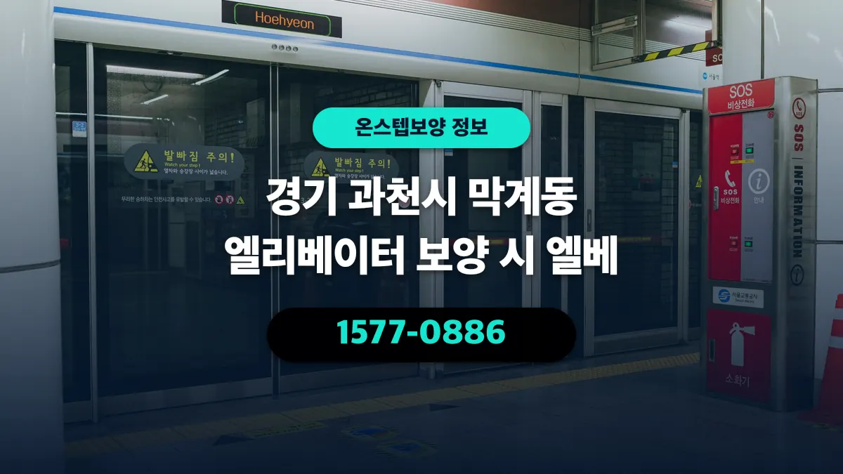 경기 과천시 막계동 엘리베이터 보양 시 엘베 - 온스텝보양