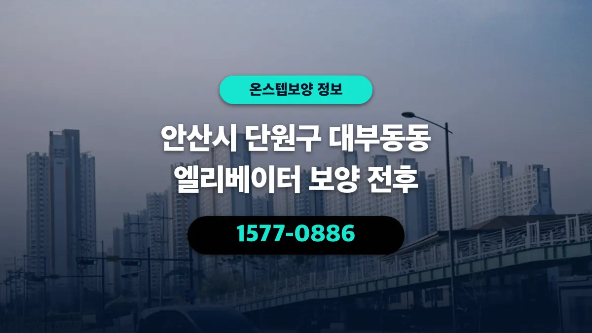 안산시 단원구 대부동동 엘리베이터 보양 전후 - 온스텝보양