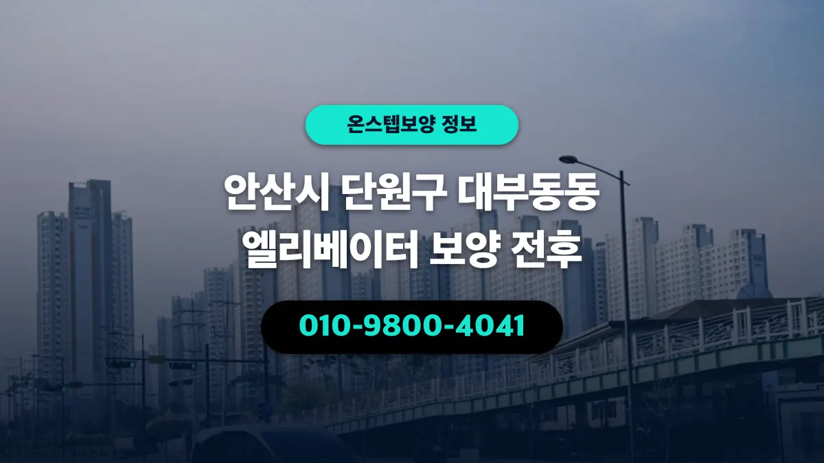안산시 단원구 대부동동 엘리베이터 보양 전후 - 온스텝보양