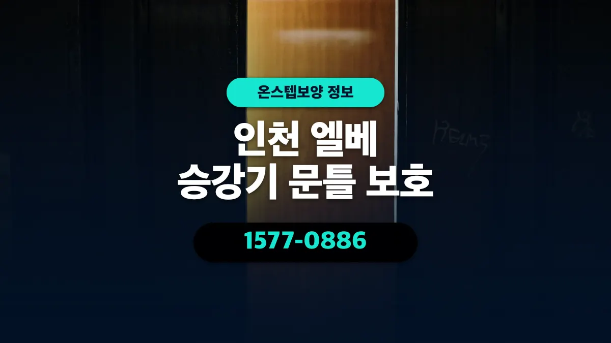 인천 엘베 승강기 문틀 보호 - 온스텝보양