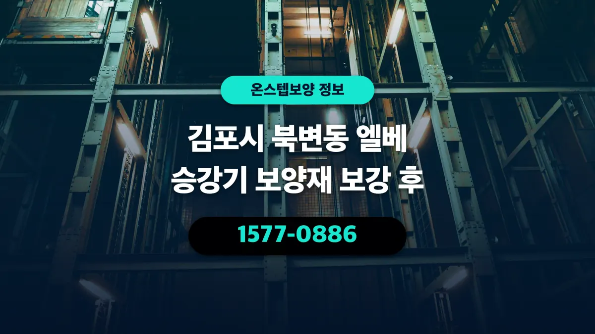 김포시 북변동 엘베 승강기 보양재 보강 후 - 온스텝보양