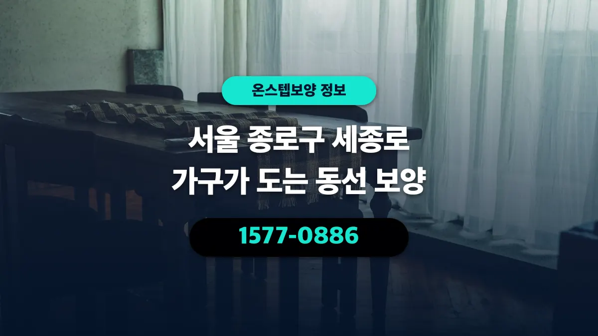 서울 종로구 세종로 가구가 도는 동선 보양 - 온스텝보양