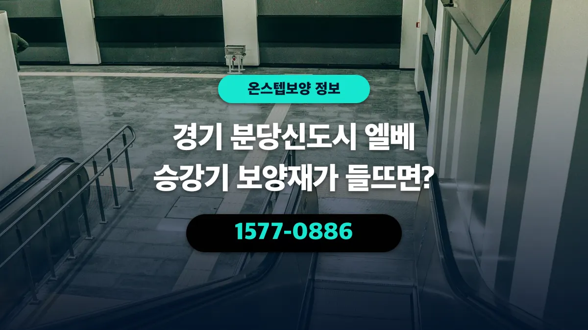 경기 분당신도시 엘베 승강기 보양재가 들뜨면? - 온스텝보양