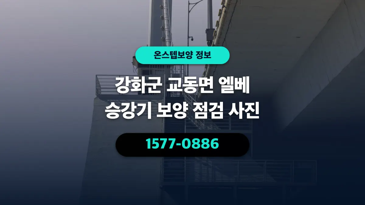 강화군 교동면 엘베 승강기 보양 점검 사진 - 온스텝보양