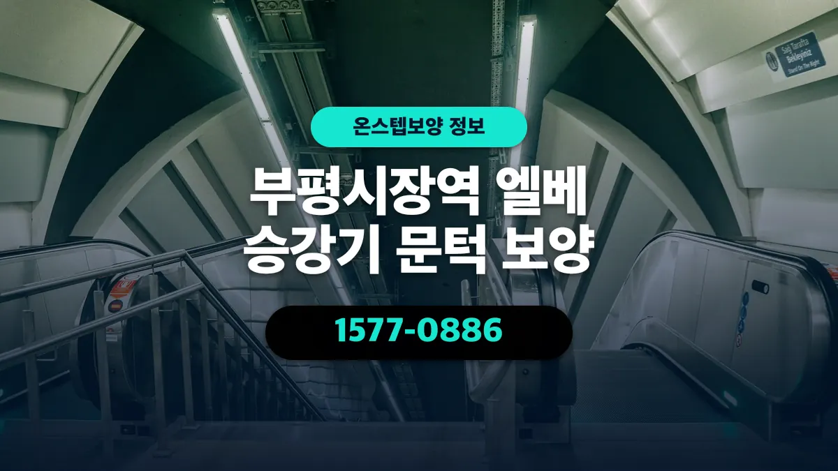 부평시장역 엘베 승강기 문턱 보양 - 온스텝보양