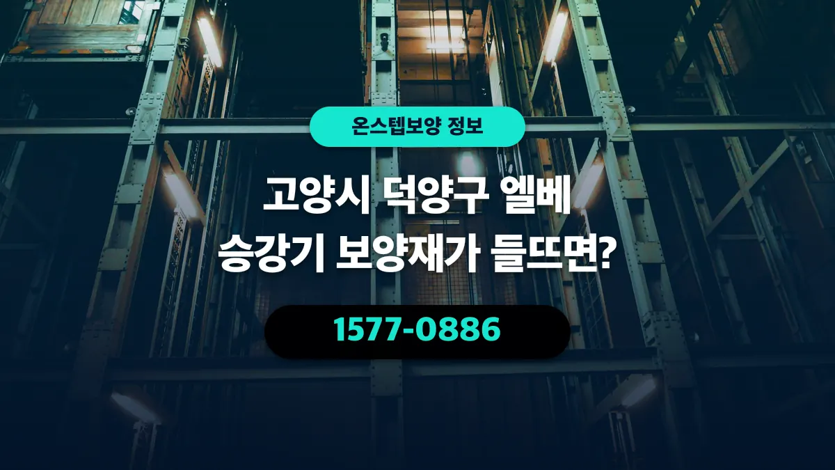 고양시 덕양구 엘베 승강기 보양재가 들뜨면? - 온스텝보양