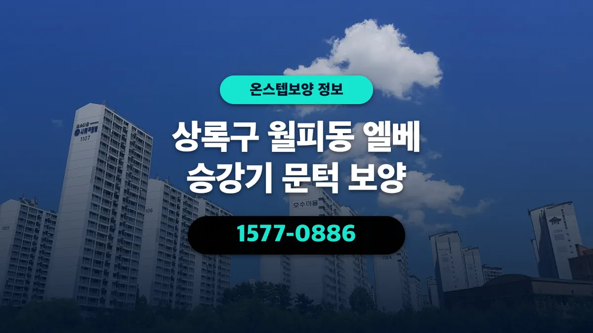 상록구 월피동 엘베 승강기 문턱 보양 - 온스텝보양