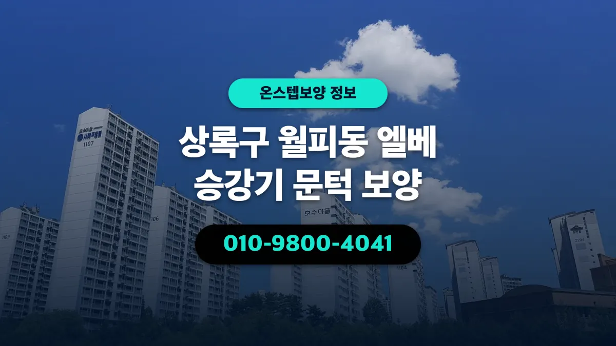 상록구 월피동 엘베 승강기 문턱 보양 - 온스텝보양