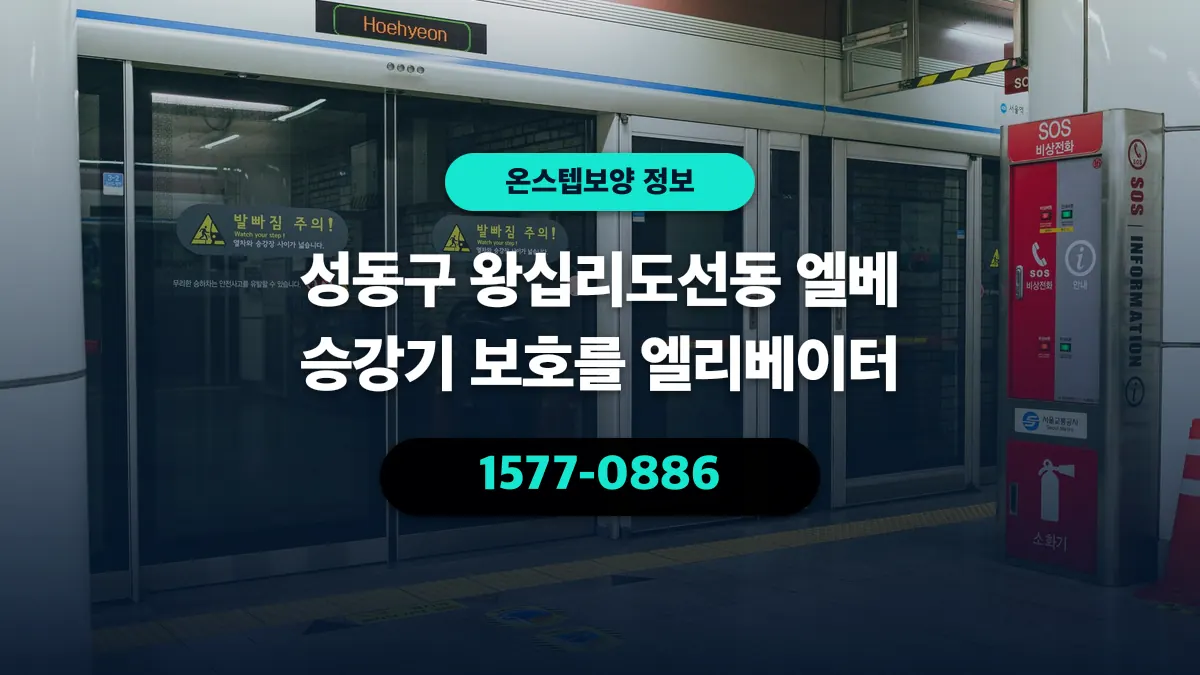 성동구 왕십리도선동 엘베 승강기 보호를 엘리베이터 - 온스텝보양