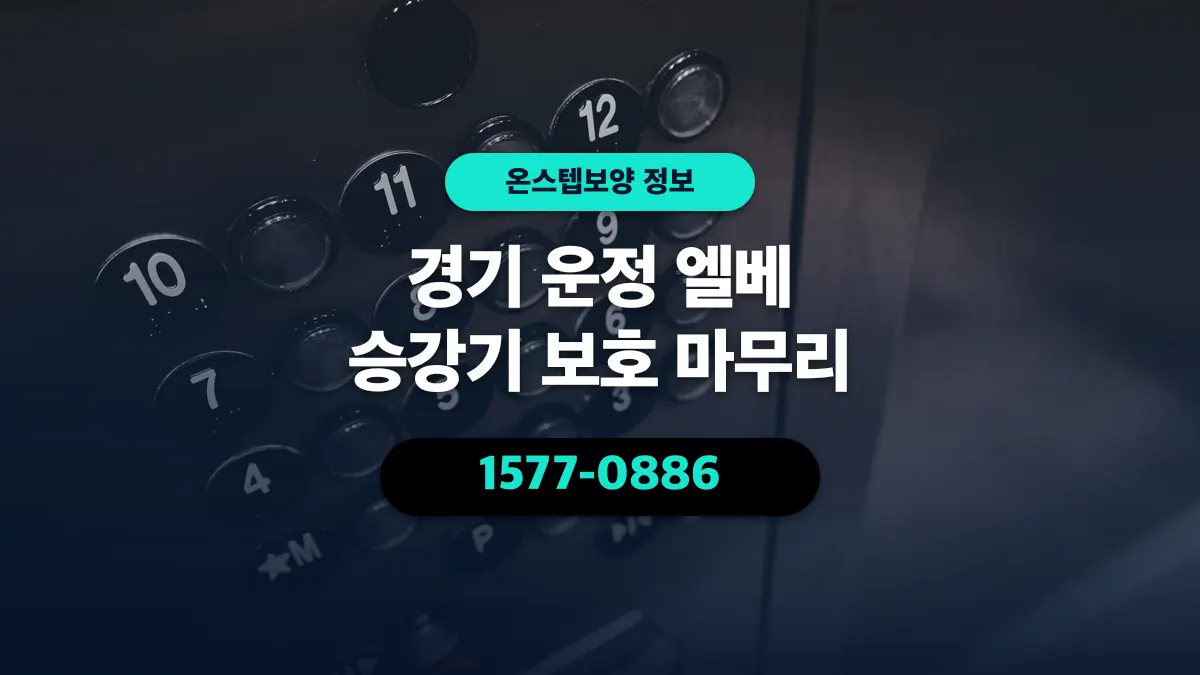 경기 운정 엘베 승강기 보호 마무리 - 온스텝보양