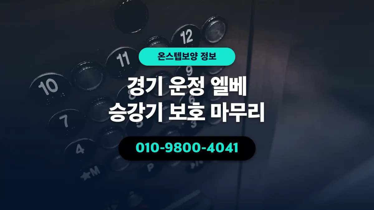 경기 운정 엘베 승강기 보호 마무리 - 온스텝보양
