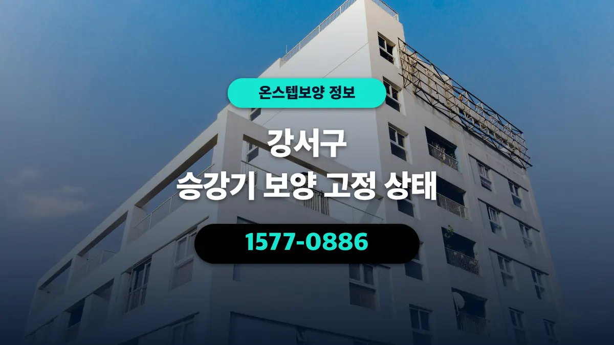 강서구 승강기 보양 고정 상태 - 온스텝보양